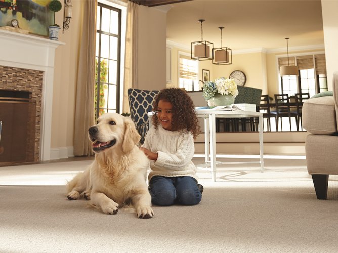 Young girl sitting on a carpeted living room floor with a dog