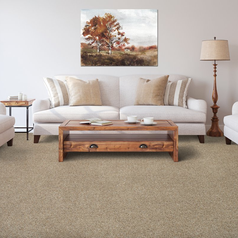 Perrydise Flooring Center providing stain-resistant pet proof carpet in Perry, FL - Grassy Mountain - retreat